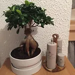 Apartment Annamaria